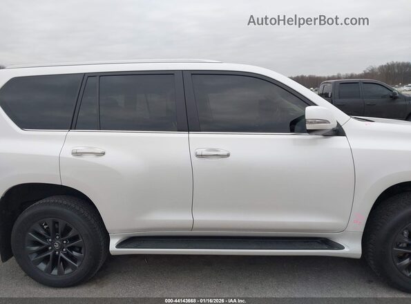 JTJAM7BX0P5346717 2023 LEXUS GX 460 White Սալոնի հետևի տեսք