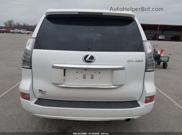 JTJAM7BX0P5346717 2023 LEXUS GX 460 White 