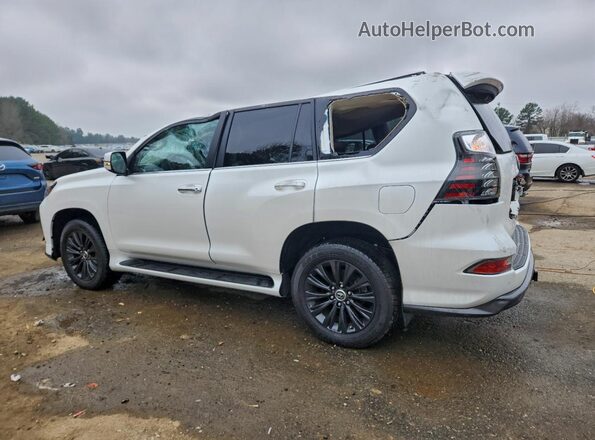 JTJAM7BX1P5367706 2023 LEXUS GX White უკანა მარცხენა
