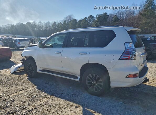 JTJAM7BX2L5248928 2020 LEXUS GX White უკანა მარცხენა