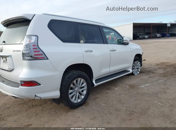 JTJAM7BX4M5284105 2021 LEXUS GX 460 White Задня права чверть