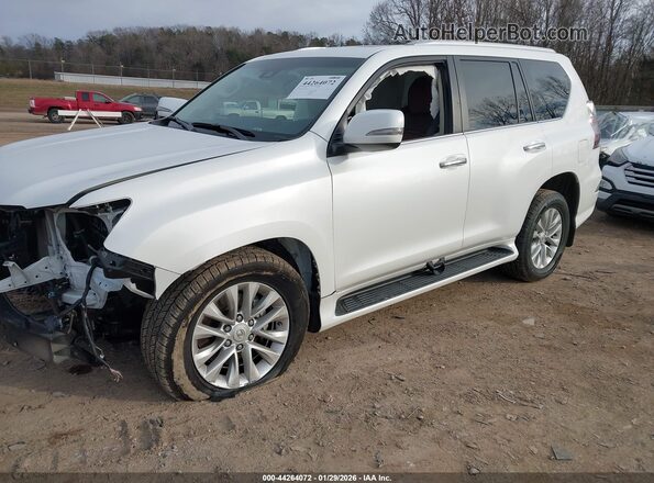 JTJAM7BX4M5284105 2021 LEXUS GX 460 White Передня ліва чверть