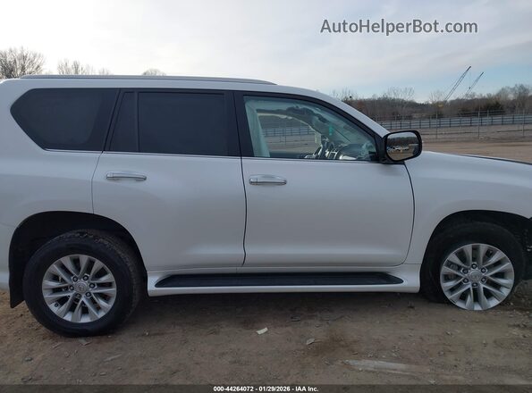 JTJAM7BX4M5284105 2021 LEXUS GX 460 White Вид задньої частини салону