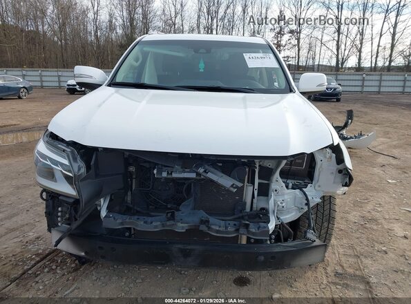 JTJAM7BX4M5284105 2021 LEXUS GX 460 White Вид щитка приладів