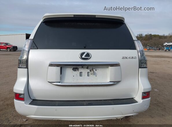JTJAM7BX4M5284105 2021 LEXUS GX 460 White 