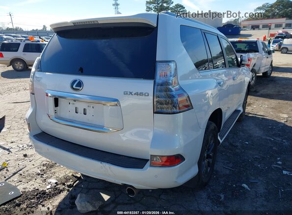 JTJAM7BX9L5243127 2020 LEXUS GX 460 White Tył prawy
