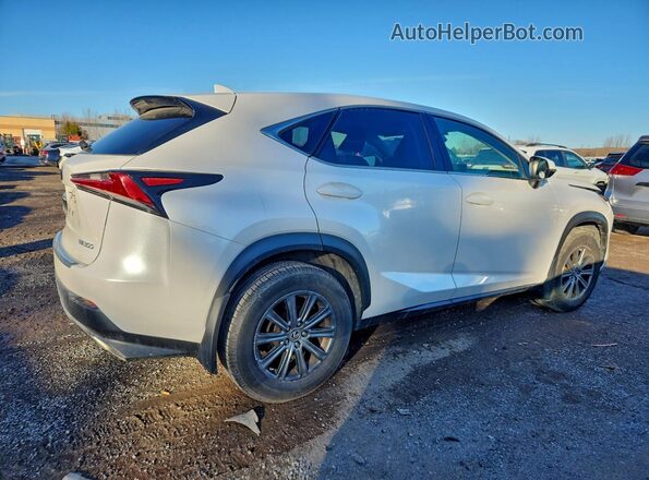 JTJBARBZ0J2170142 2018 LEXUS NX Белый Задняя правая четверть