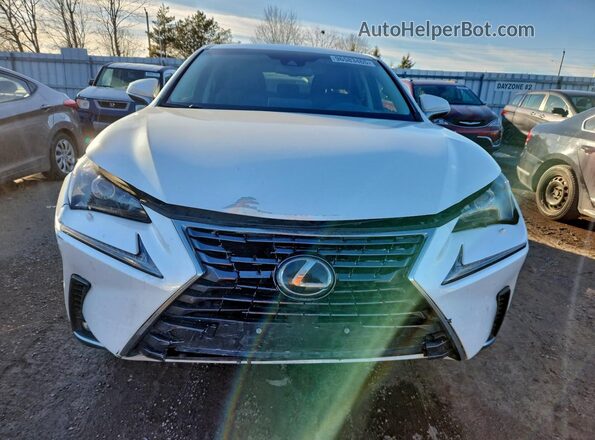 JTJBARBZ0J2170142 2018 LEXUS NX Белый Вид спереди