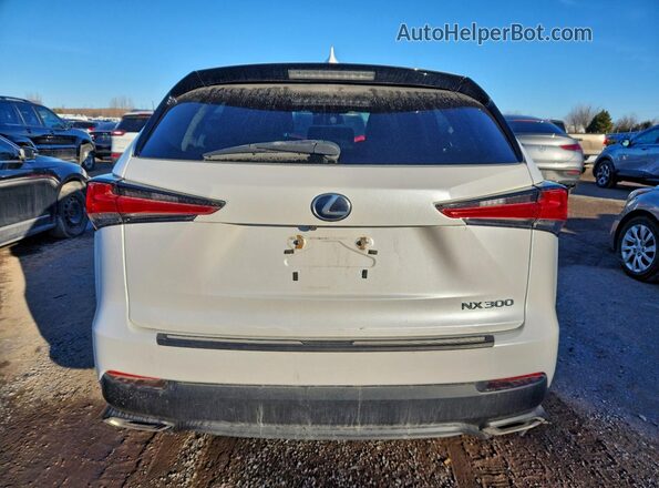 JTJBARBZ0J2170142 2018 LEXUS NX Белый Вид сзади