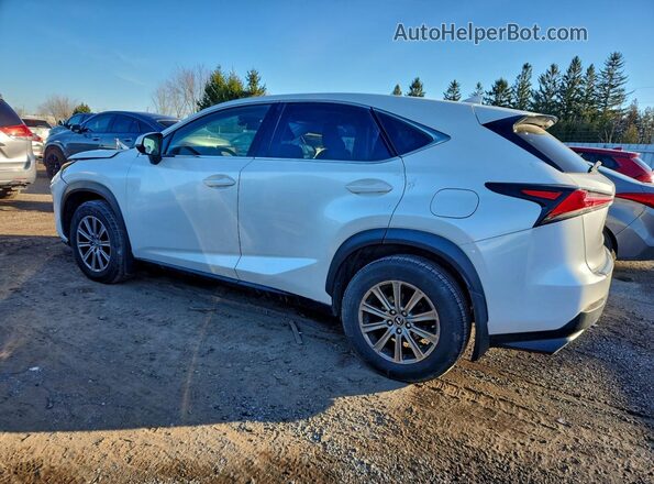 JTJBARBZ0J2170142 2018 LEXUS NX Белый Задняя левая четверть
