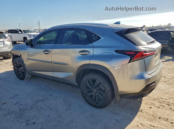 JTJBARBZ0K2191753 2019 LEXUS NX Silver Հետևի ձախ