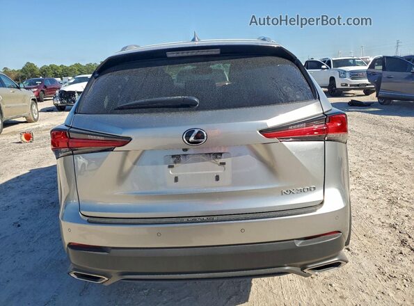 JTJBARBZ0K2191753 2019 LEXUS NX Silver Հետևի տեսք