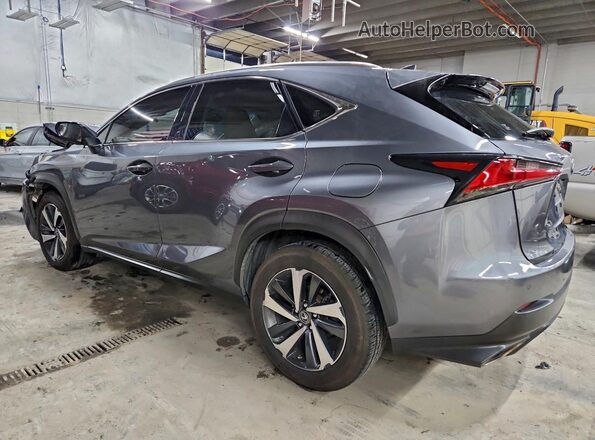 JTJBARBZ1J2175138 2018 LEXUS NX Charcoal Tył lewy
