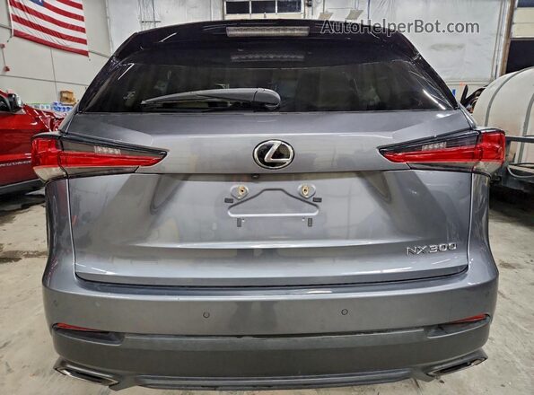 JTJBARBZ1J2175138 2018 LEXUS NX Charcoal Widok z tyłu