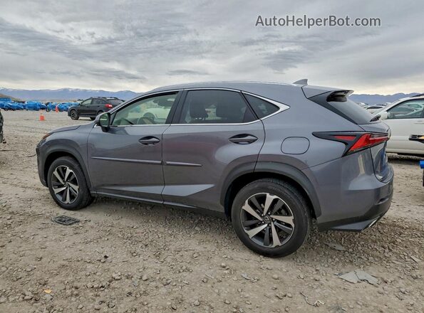 JTJBARBZ3J2167249 2018 LEXUS NX Gray Tył lewy