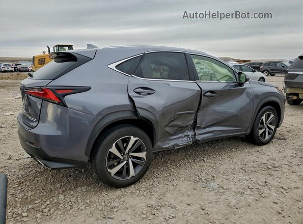 JTJBARBZ3J2167249 2018 LEXUS NX Gray Tył prawy