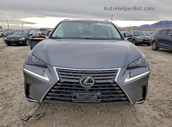JTJBARBZ3J2167249 2018 LEXUS NX Gray Widok z przodu