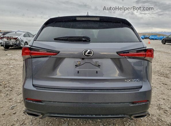 JTJBARBZ3J2167249 2018 LEXUS NX Gray Widok z tyłu