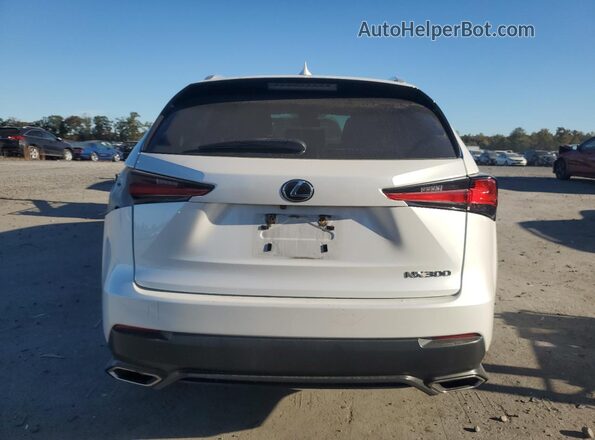 JTJBARBZ5K2210801 2019 LEXUS NX White Vista trasera