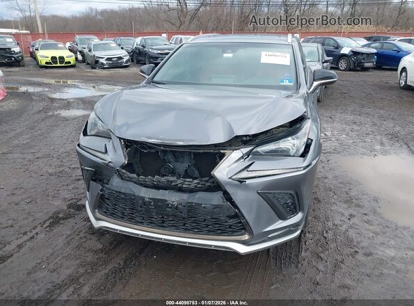 JTJBARBZ8K2180693 2019 LEXUS NX 300 Gray Вид спереду