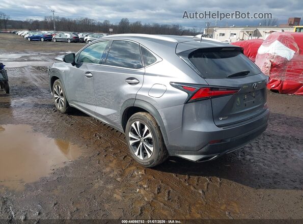 JTJBARBZ8K2180693 2019 LEXUS NX 300 Gray Задня ліва чверть