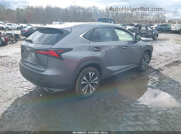 JTJBARBZ8K2180693 2019 LEXUS NX 300 Gray Задня права чверть