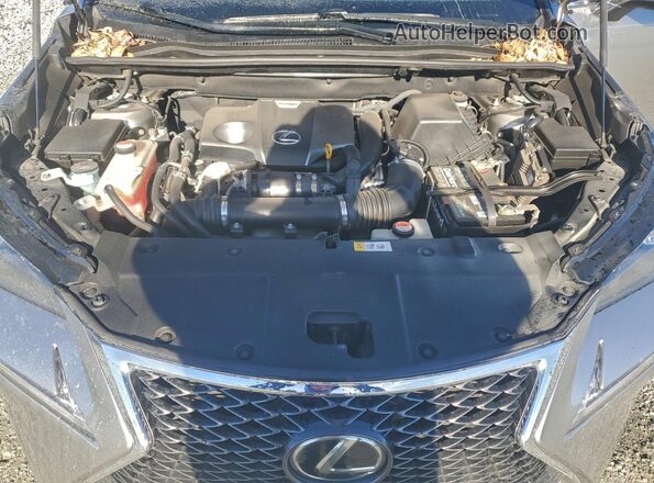 JTJBARBZ9G2080772 2016 LEXUS NX Charcoal Սալոնի հետևի տեսք