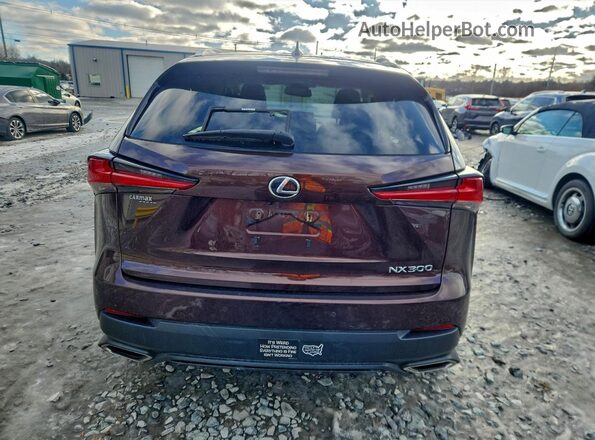 JTJBARBZ9K2187698 2019 LEXUS NX Burgundy Widok z tyłu