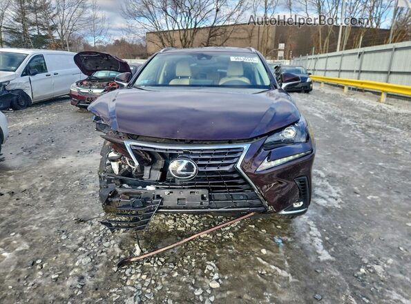 JTJBARBZ9K2187698 2019 LEXUS NX Burgundy Widok z przodu