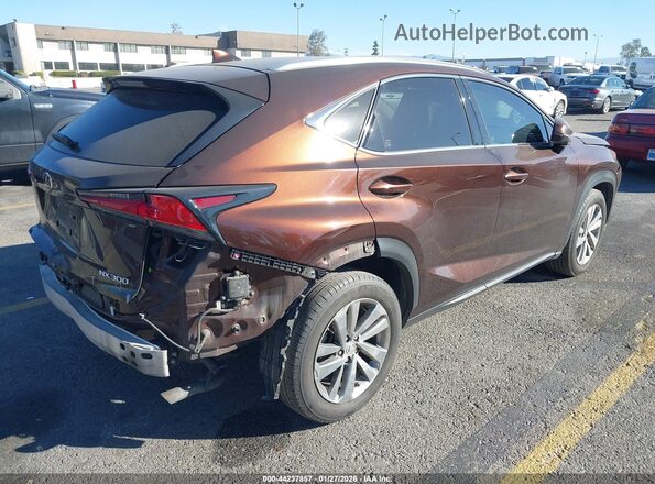 JTJBARBZXK2215542 2019 LEXUS NX 300 Brown უკანა მარჯვენა