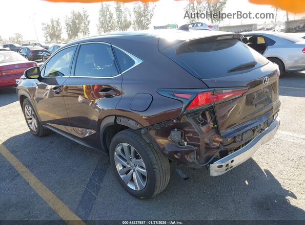 JTJBARBZXK2215542 2019 LEXUS NX 300 Brown უკანა მარცხენა