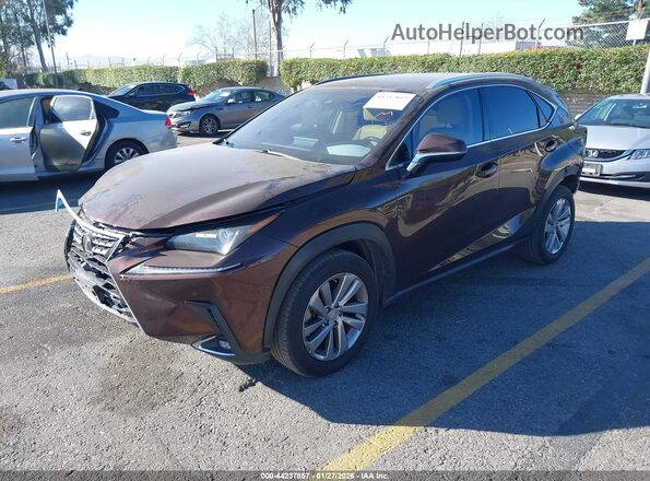 JTJBARBZXK2215542 2019 LEXUS NX 300 Brown წინა მარცხენა ხედი სამი მეოთხედიდან