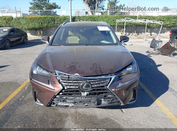 JTJBARBZXK2215542 2019 LEXUS NX 300 Brown უკანა სალონის ხედი