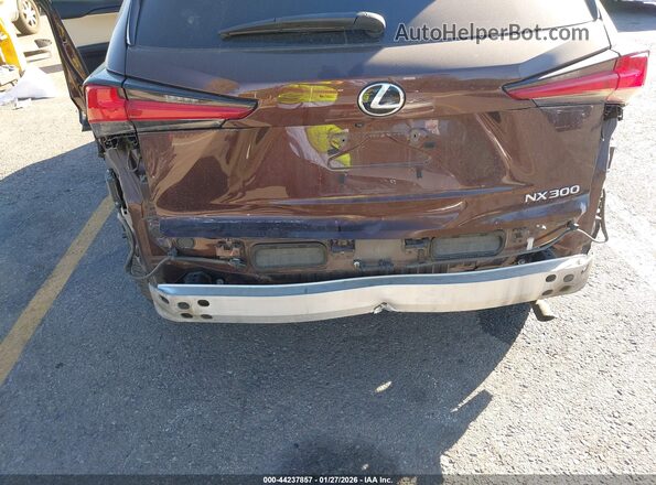 JTJBARBZXK2215542 2019 LEXUS NX 300 Brown 