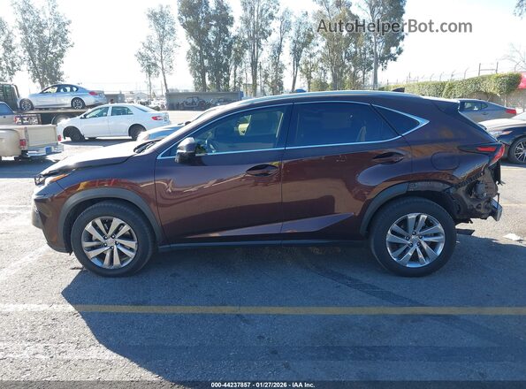 JTJBARBZXK2215542 2019 LEXUS NX 300 Brown 