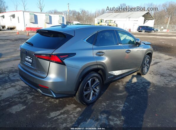 JTJBJRBZ1J2081695 2018 LEXUS NX 300H Silver Tył prawy