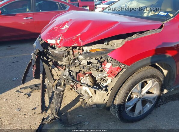 JTJBJRBZ3H2062396 2017 LEXUS NX 300H Red Вид спереду