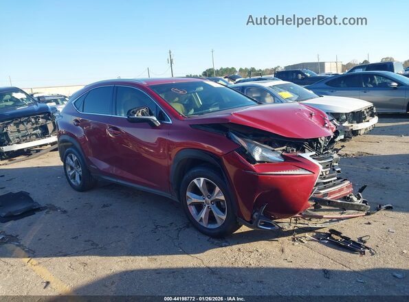 JTJBJRBZ3H2062396 2017 LEXUS NX 300H Red Вид задньої частини салону