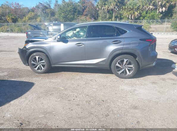 JTJBJRBZ4K2125917 2019 LEXUS NX 300H Gray 