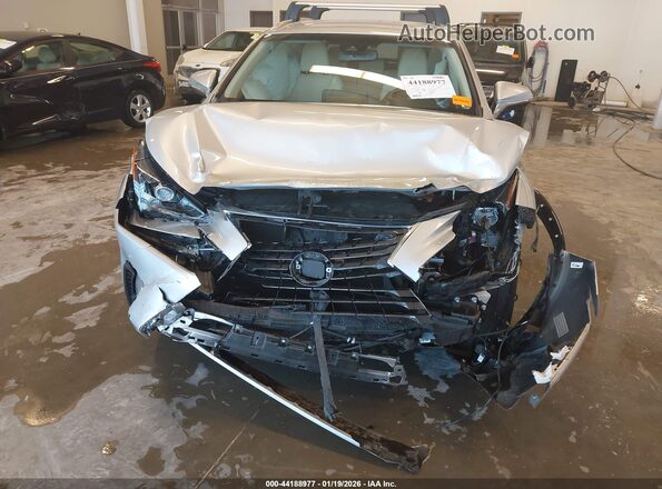 JTJBJRBZ8K2114029 2019 LEXUS NX 300H Silver Vista frontal