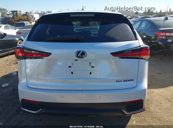 JTJBJRBZXK2103176 2019 LEXUS NX 300H White 
