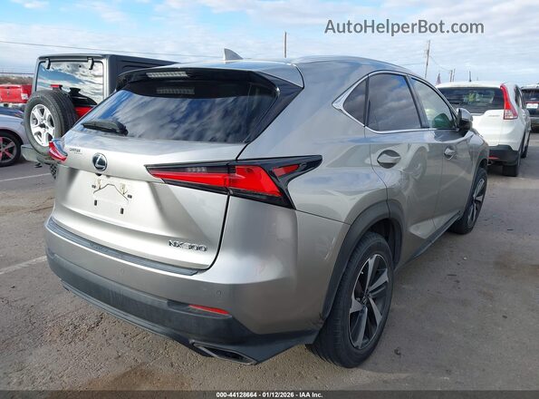 JTJDARBZ0L2165020 2020 LEXUS NX 300 Beige 
