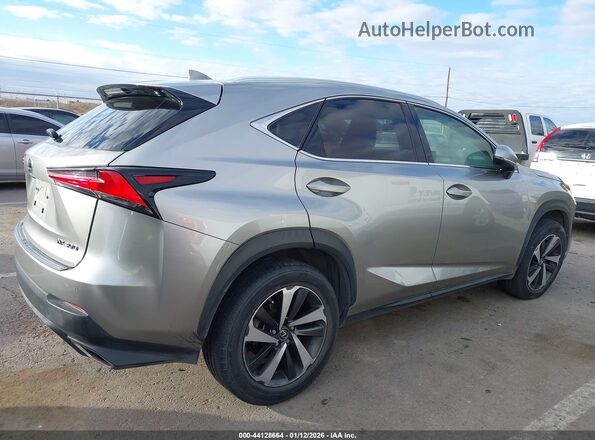 JTJDARBZ0L2165020 2020 LEXUS NX 300 Beige 
