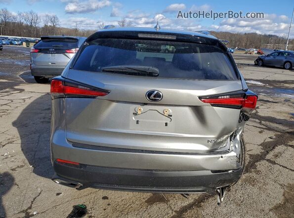 JTJDARBZ1M2178439 2021 LEXUS NX Silver Հետևի տեսք