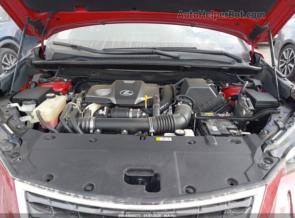 JTJDARBZ3M5020926 2021 LEXUS NX 300 Red Вид ззаду