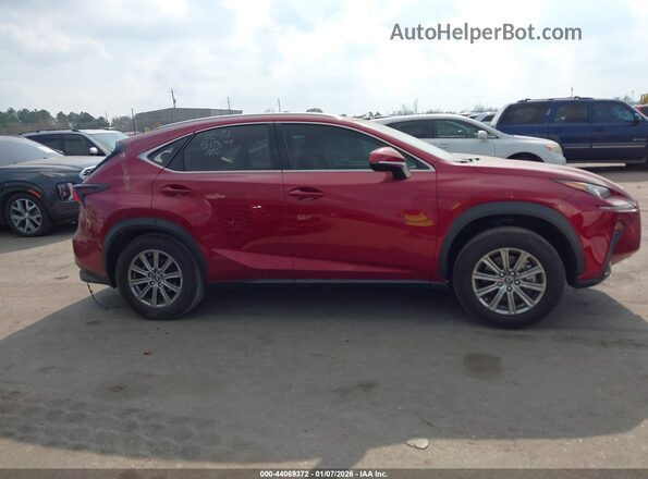 JTJDARBZ3M5020926 2021 LEXUS NX 300 Red Вид задньої частини салону
