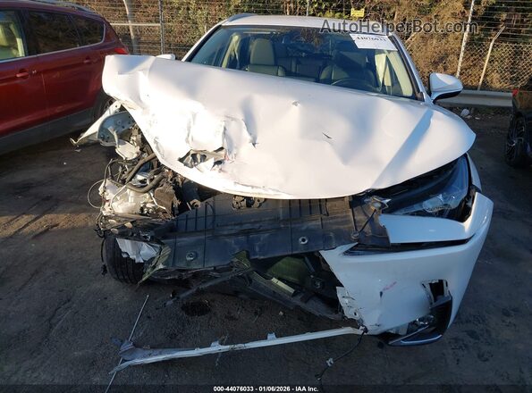 JTJDARBZ8M5029444 2021 LEXUS NX 300 White Widok z przodu