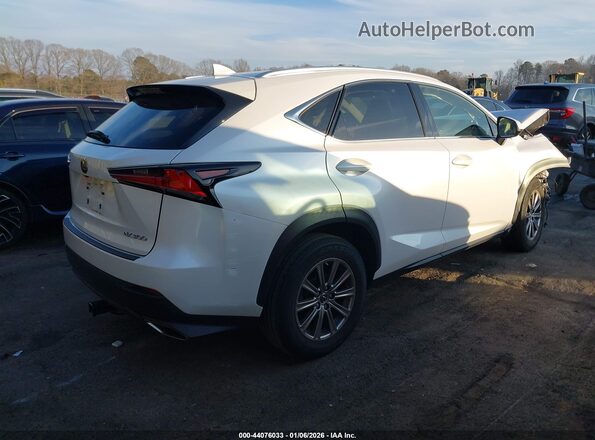 JTJDARBZ8M5029444 2021 LEXUS NX 300 White Tył prawy