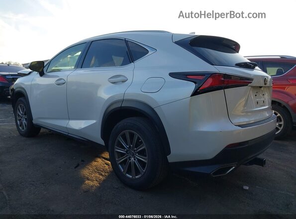 JTJDARBZ8M5029444 2021 LEXUS NX 300 White Tył lewy