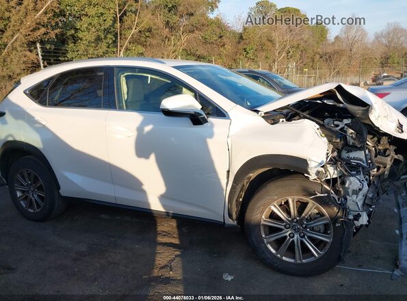 JTJDARBZ8M5029444 2021 LEXUS NX 300 White Widok wnętrza z tyłu